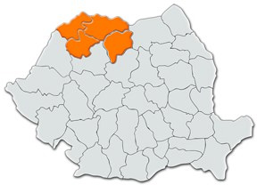 satu-mare